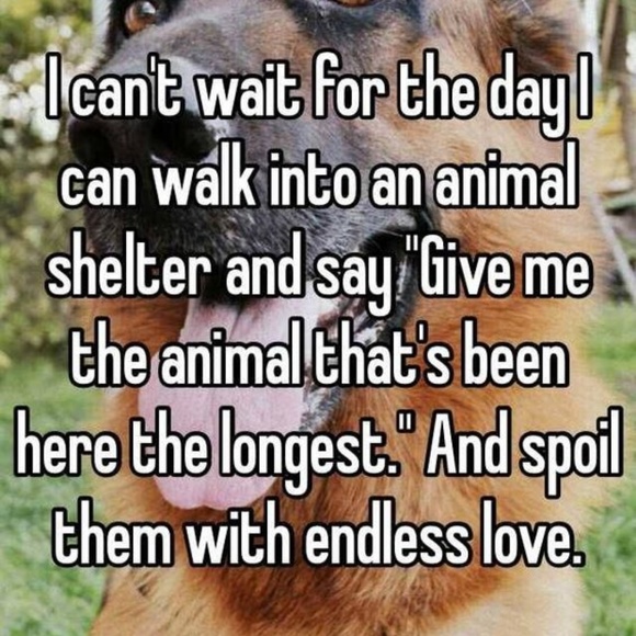 💕I SELL TO SUPPORT ANIMALS IN NEED💕 - Picture 3 of 16